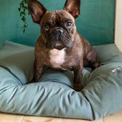 【予約商品】スクエアベッド / Tobine