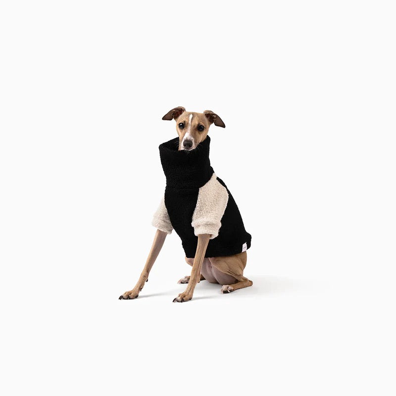  Teddy Jumper