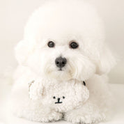 しろふわちゃんプープバッグ / Bichon Poop Bag Pouch