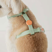 ウォータープルーフハーネス / Macaron Waterproof Harness