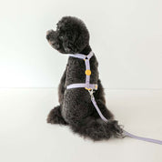 ウォータープルーフハーネス / Macaron Waterproof Harness