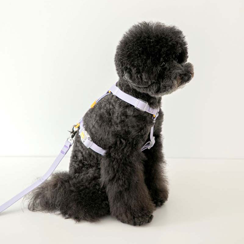 ウォータープルーフハーネス / Macaron Waterproof Harness