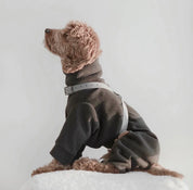 八の字型ハーネス / OTTO DOG HARNESS