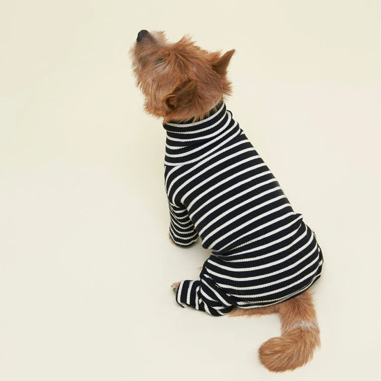 little-beast-cafe-in-paris-onesie-dog-onesie-1132583313_x1024.progressive_2f0a9b87-d025-4c36-bce3-4f4d17e74395.webp