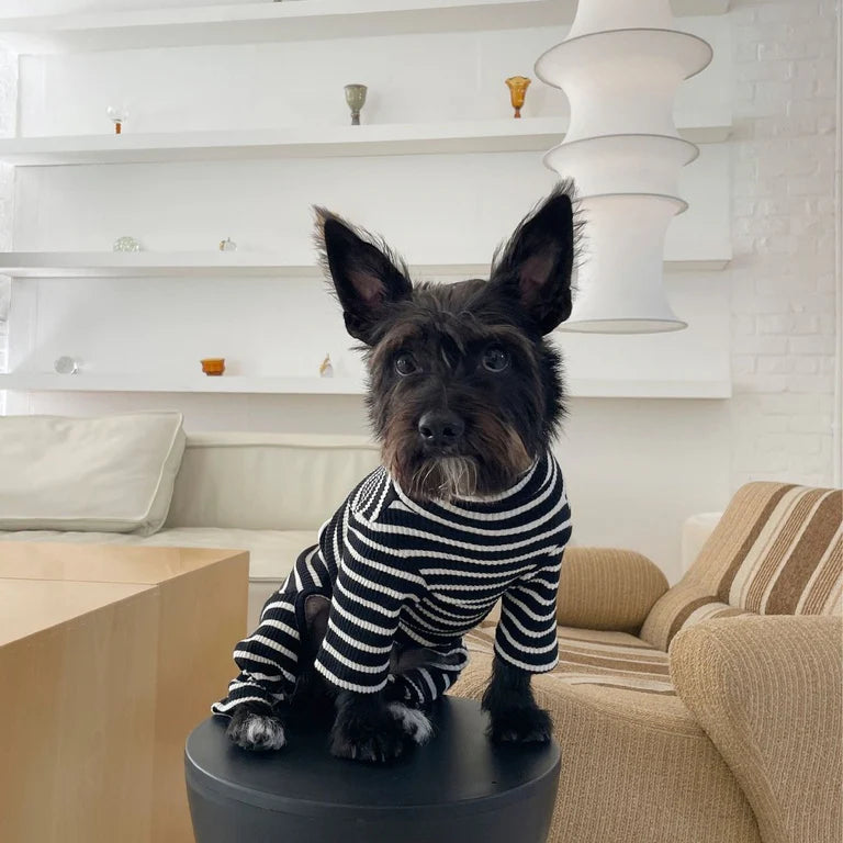 【再入荷】ストライプ リブ ロンパース Café in Paris / Striped Onesies