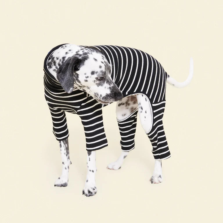 little-beast-cafe-in-paris-onesie-dog-onesie-1177382069_x1024_progressive_png.webp