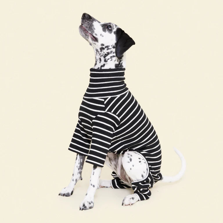 little-beast-cafe-in-paris-onesie-dog-onesie-1177382070_x1024_progressive_png.webp