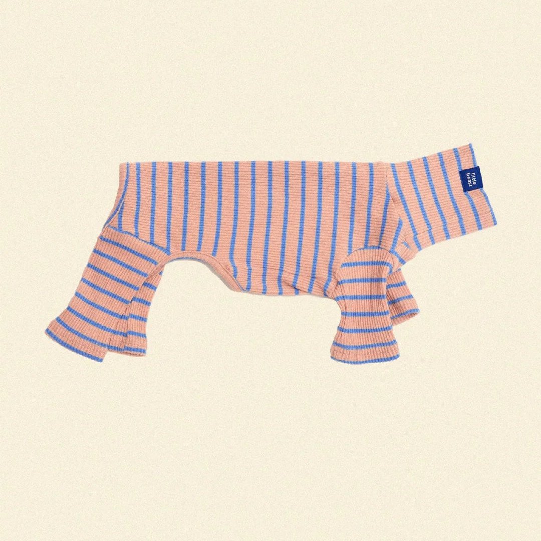  Striped Onesies