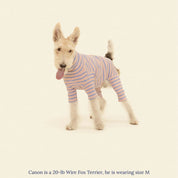 ストライプ リブ ロンパース / Striped Onesies