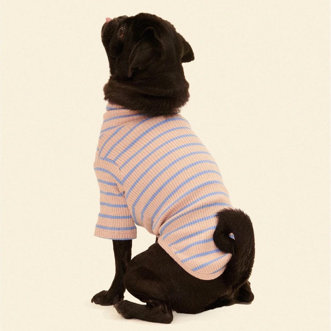 ストライプ リブ プルオーバー / Striped sweatshirt