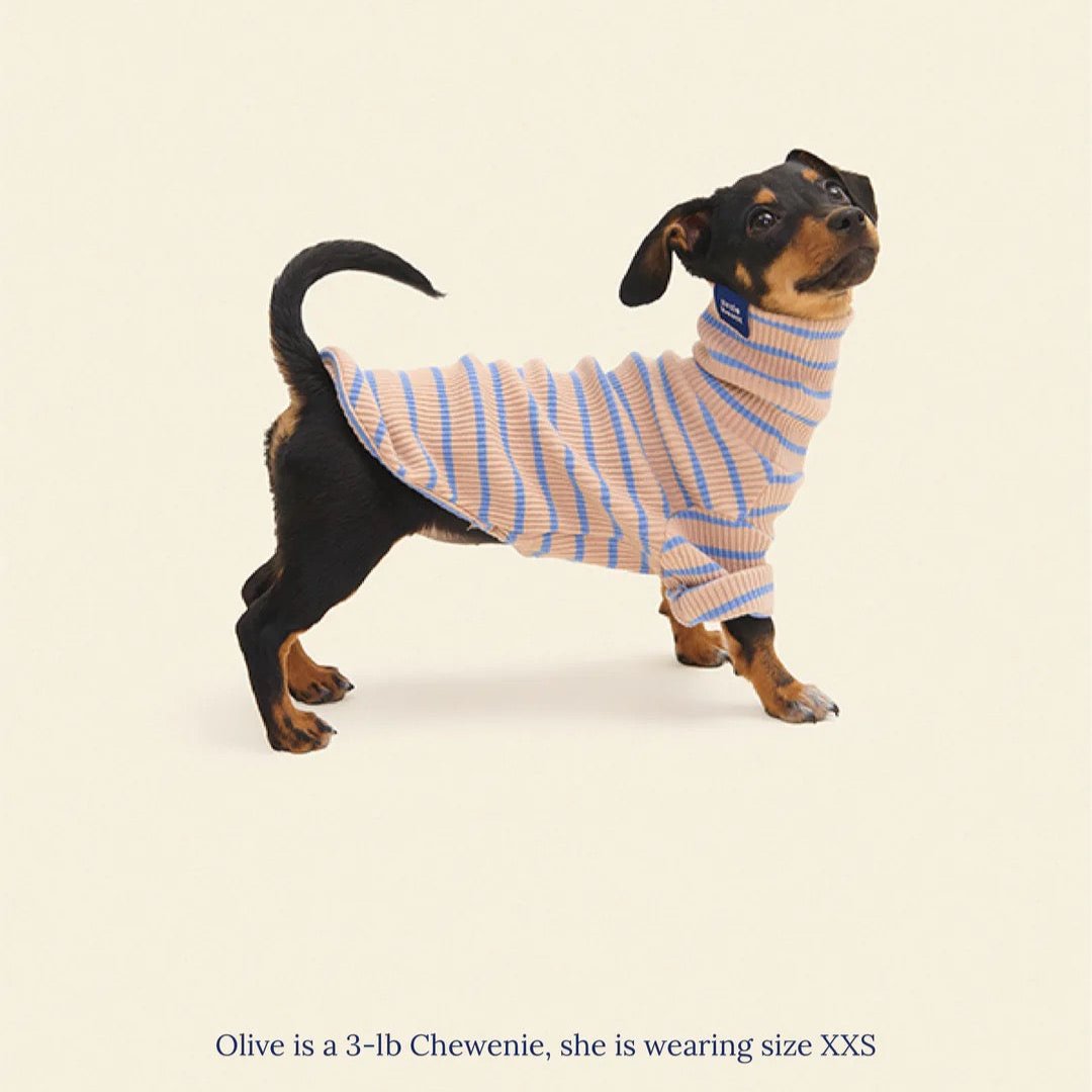 ストライプ リブ プルオーバー / Striped sweatshirt