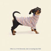 ストライプ リブ プルオーバー / Striped sweatshirt