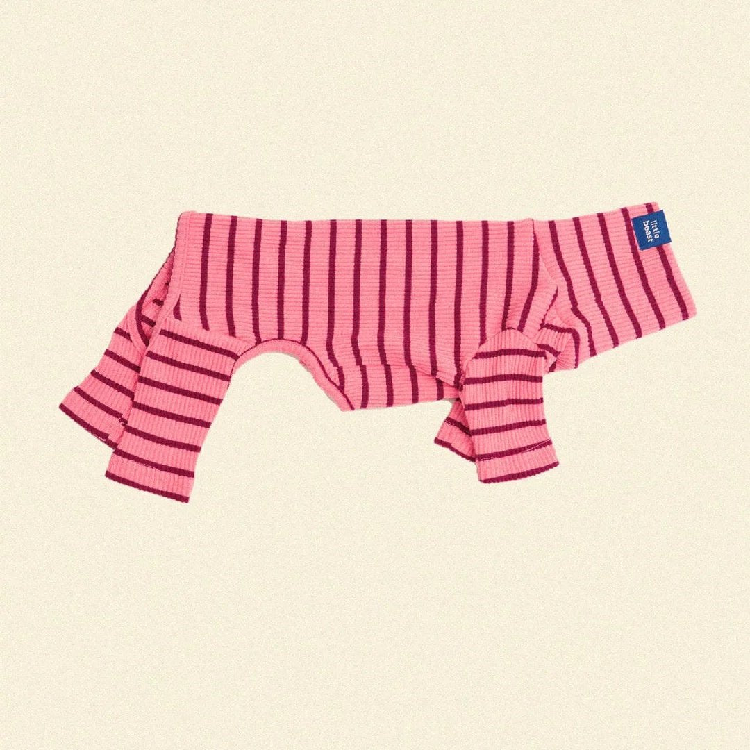  Striped Onesies