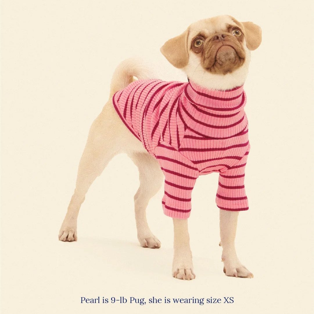 little-beast-imu-shirt-dog-shirt-47548144451870_x1440.progressive_6dd2c7eb-88e7-4b62-83fe-0006779d3557.jpg