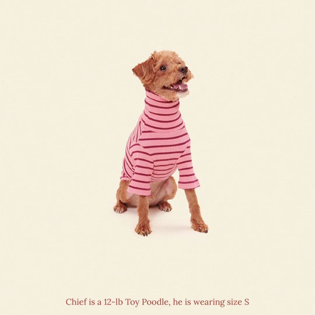 little-beast-imu-shirt-dog-shirt-47566329839902_x1440_progressive_png.jpg