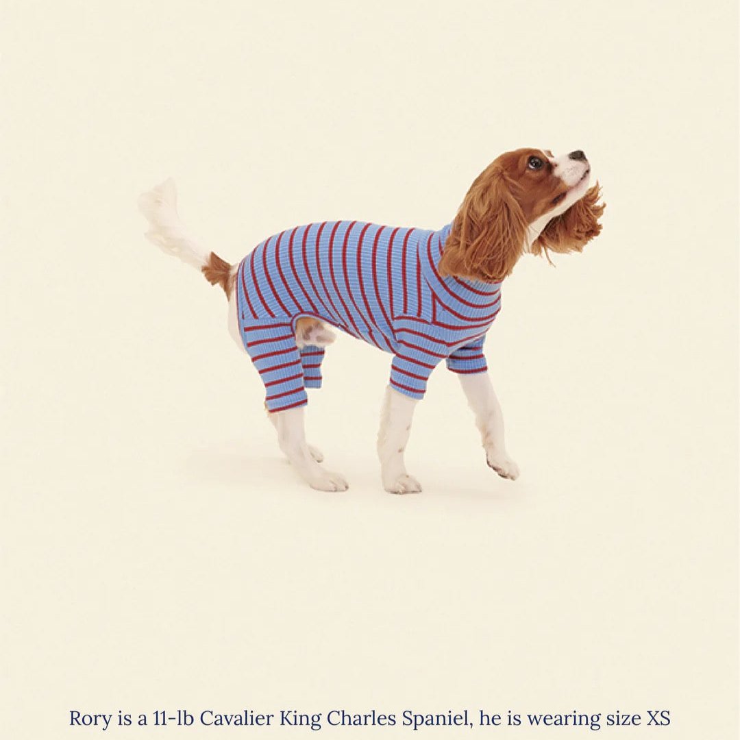 ストライプ リブ ロンパース / Striped Onesies