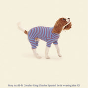 ストライプ リブ ロンパース / Striped Onesies