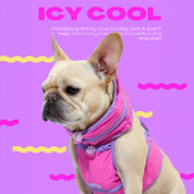 クールベスト ピンク（保冷剤なし） / ICY COOL VEST