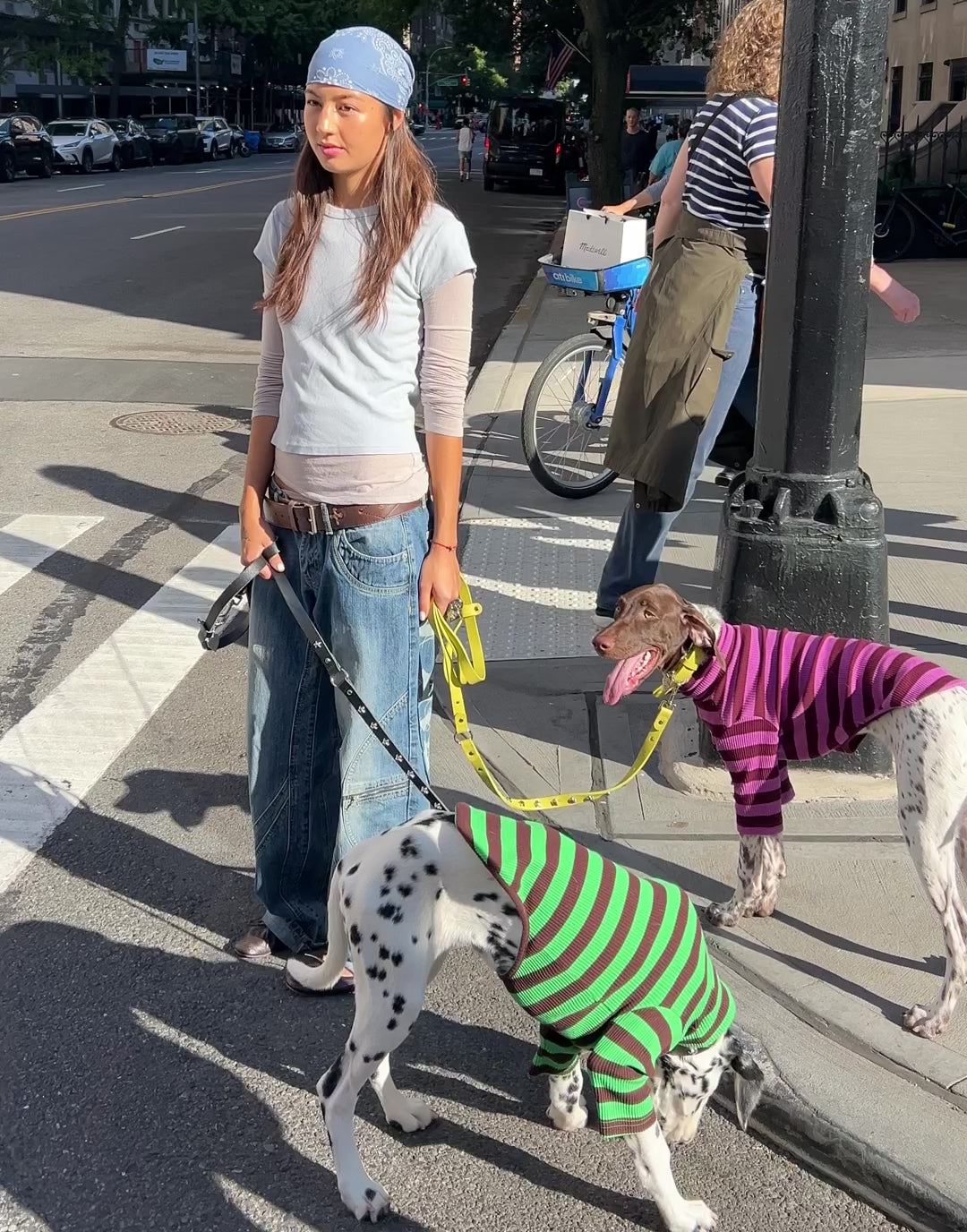 【2026年秋冬新作】ストライプ リブ プルオーバー / Striped sweatshirt