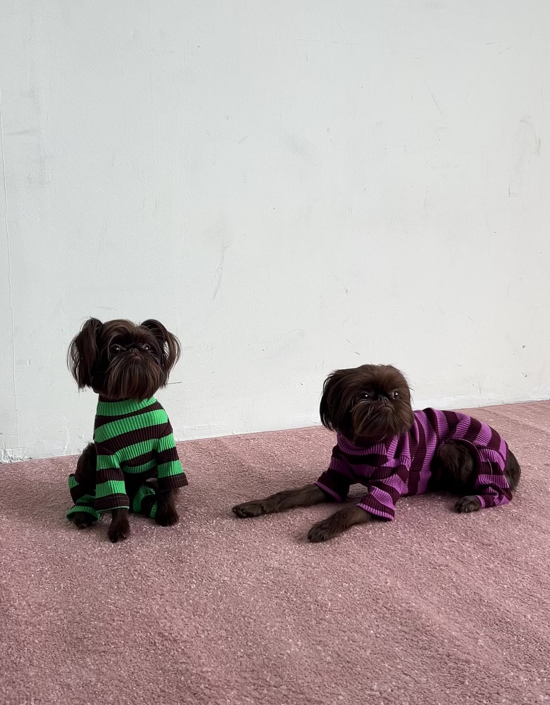 【2026年秋冬新作】ストライプ リブ ロンパース / Striped Onesies