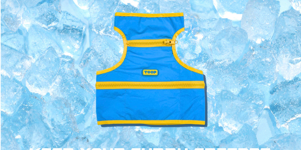 vest_b.jpg