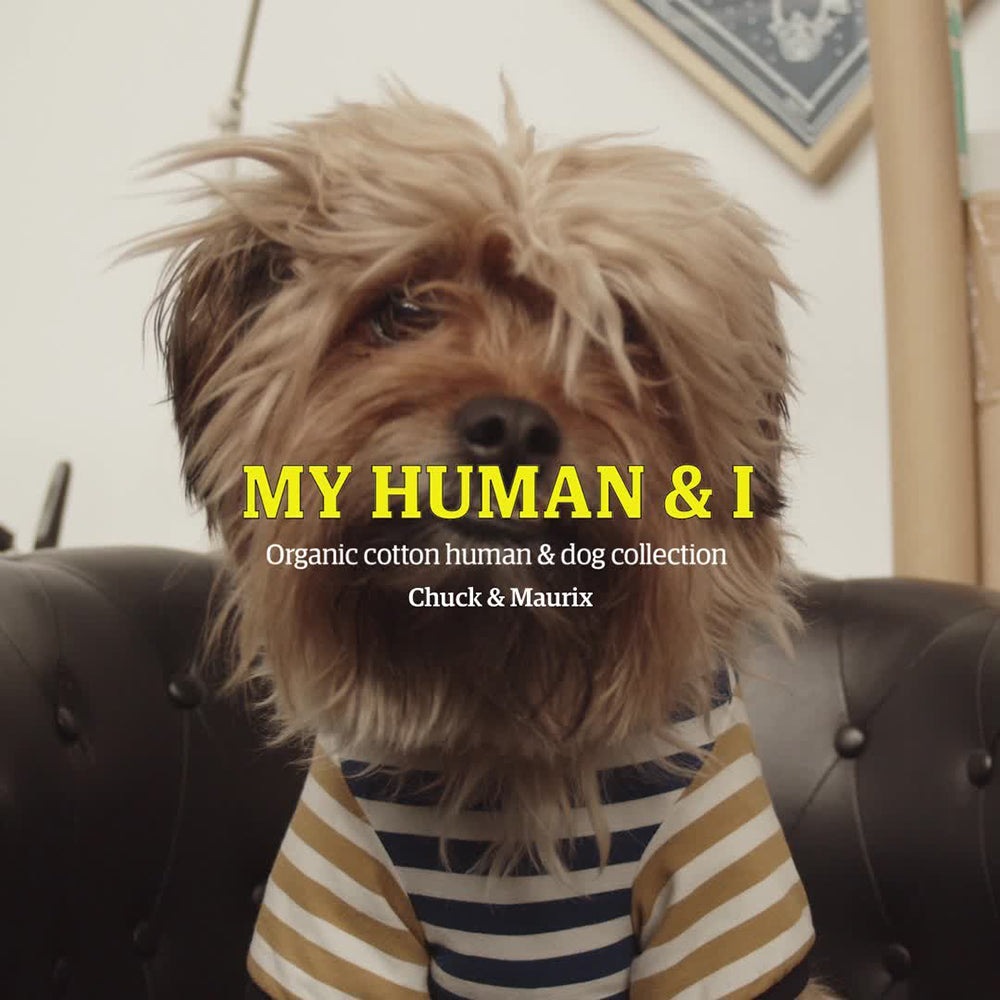 Chantal /  ペアボーダーTシャツ 人間用