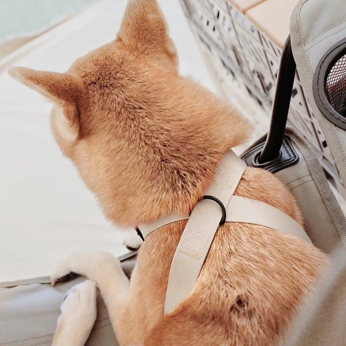  OTTO DOG HARNESS