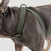 八の字型ハーネス / OTTO DOG HARNESS