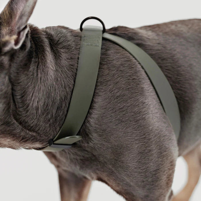  OTTO DOG HARNESS