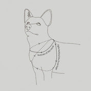 八の字型ハーネス / OTTO DOG HARNESS