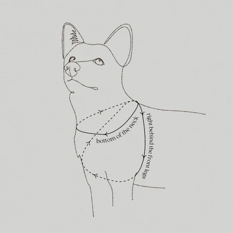 八の字型ハーネス / OTTO DOG HARNESS