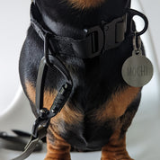 ウルトラライト スキニーリード 袋つき / APEX ULTRALIGHT＋SKINNY LEASH