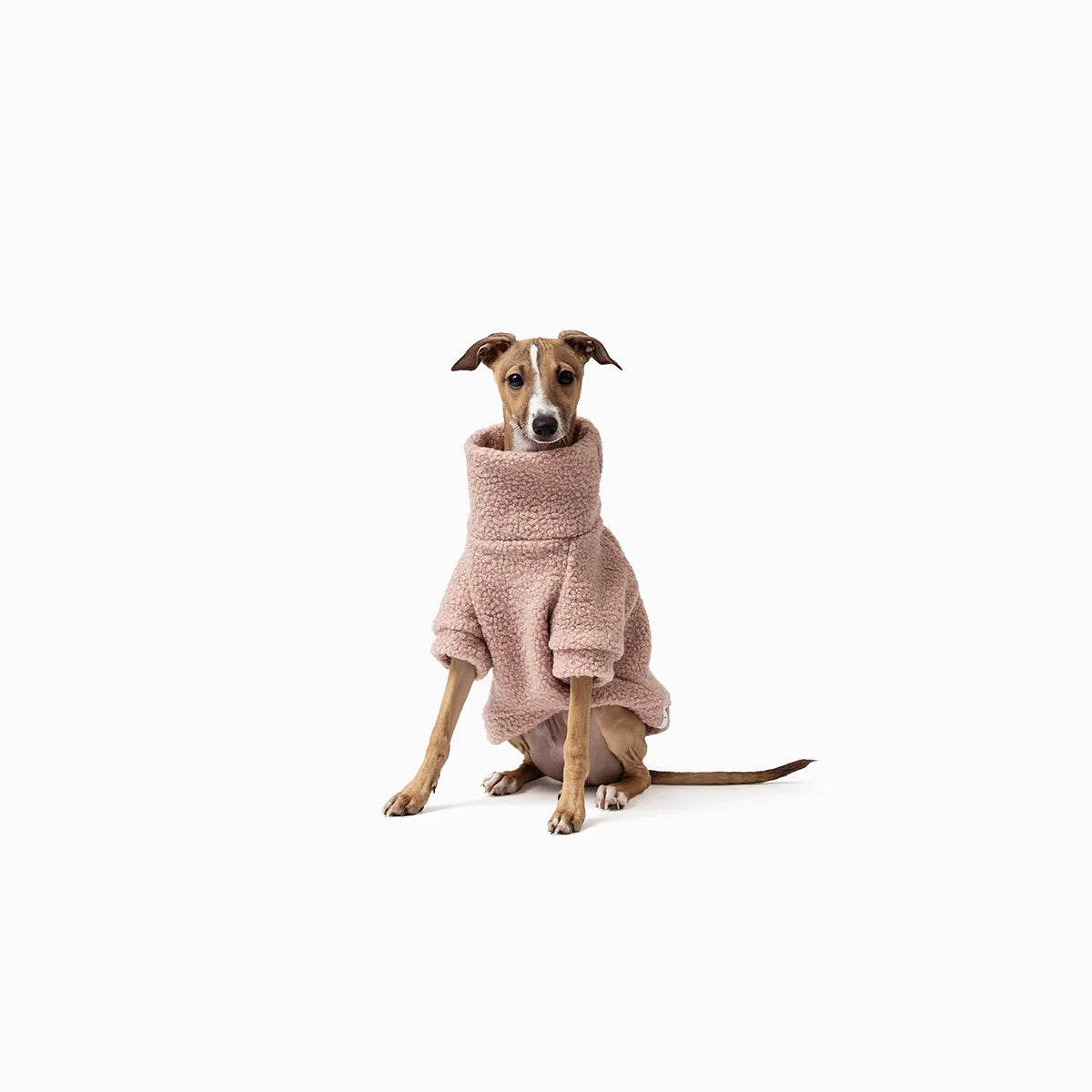Soft-Pink-Teddy_1200x_09fe63c6-f29b-478d-85fe-5075d7f89d1b.webp