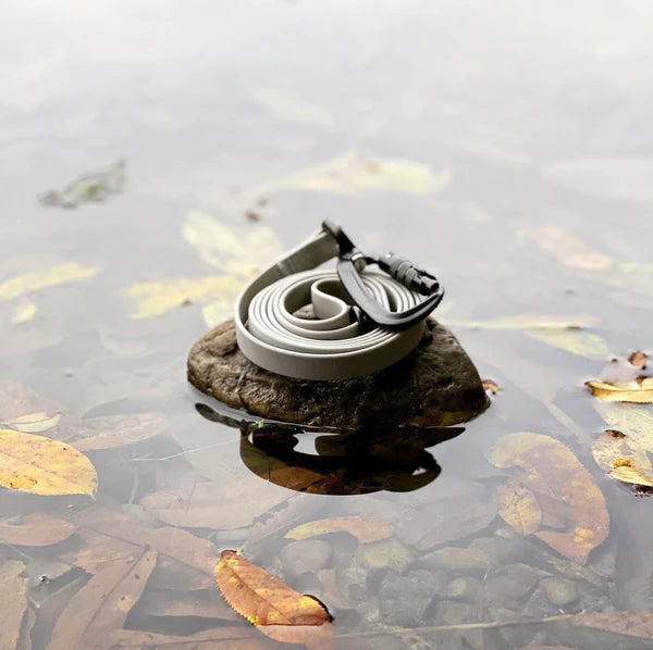 image_600x_72c2cc5f-df5f-4b13-96c7-474a86bd2313.webp