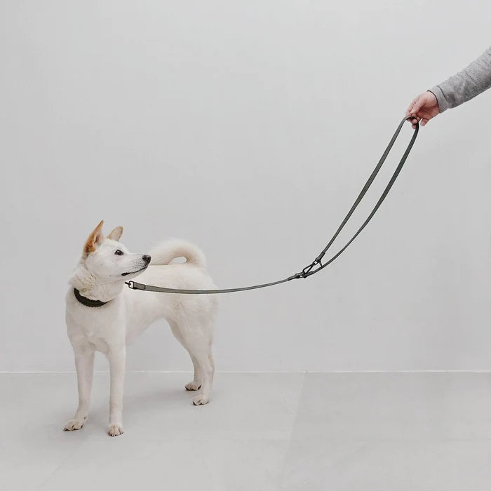 mellem-all-weather-convertible-leash-6ft-or-180cm-max-649312_1080x_700x_e8bd8ad2-991b-4f07-84bf-9427a2e1cf83.webp