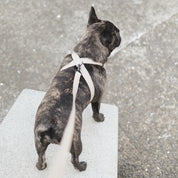 八の字型ハーネス / OTTO DOG HARNESS